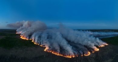 B.C. wildfires fuel online conspiracy theories, says researcher | CBC News