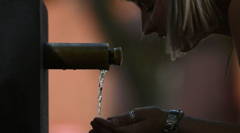 Science on Fluoride's Effects on Children Set for Court Release - Bloomberg Law