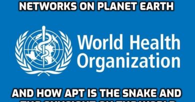WHO Plans To Launch Global Digital Health Certificate