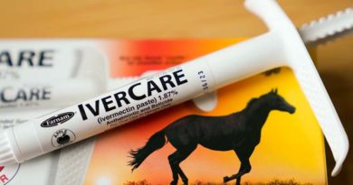 Wisconsin justices won't order ivermectin use for COVID - Minnesota Lawyer