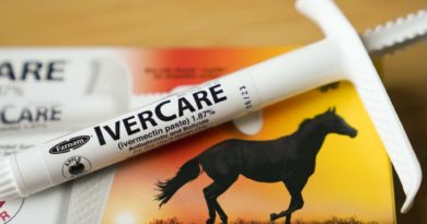 Wisconsin Supreme Court won't order ivermectin use for COVID - CT Insider