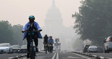 Canada wildfires spark climate conspiracy theories