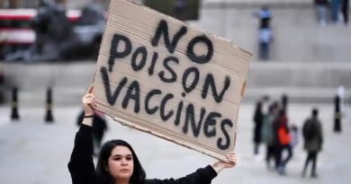 The political rise of the anti-vax movement