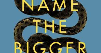 'To Name the Bigger Lie' is an investigation of the nature of truth