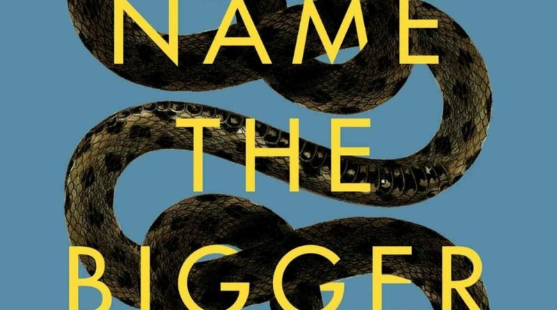 'To Name the Bigger Lie' is an investigation of the nature of truth
