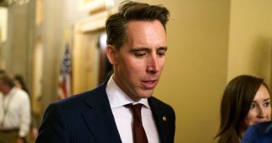 US has ‘downplayed’ the number of UFO sightings: Senator Hawley