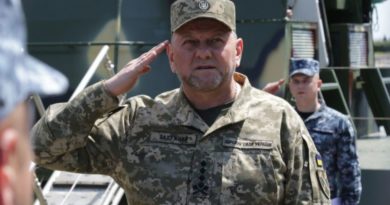 Valery Zaluzhny, the man behind Ukraine's counter-offensive