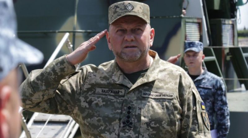 Valery Zaluzhny, the man behind Ukraine's counter-offensive