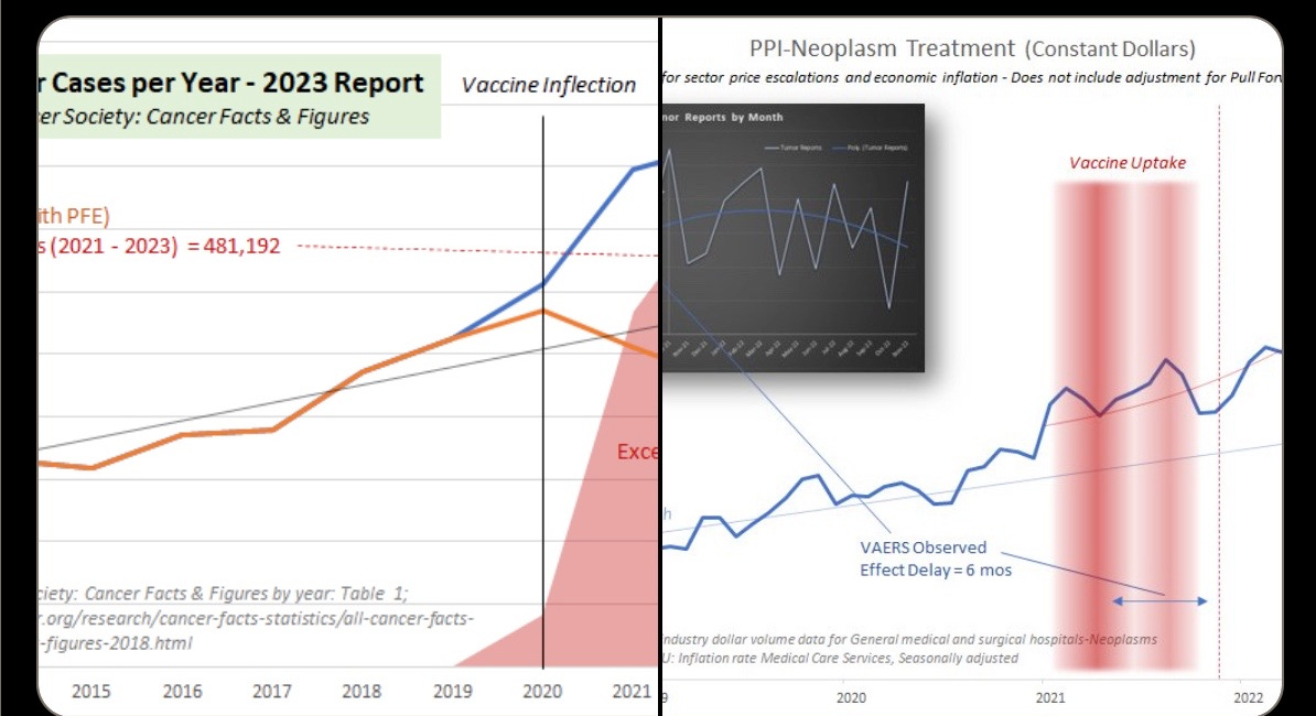 BOMBSHELL: Just Released American Cancer Society Annual Report On Cancer Showed 11.5% Excess Cases