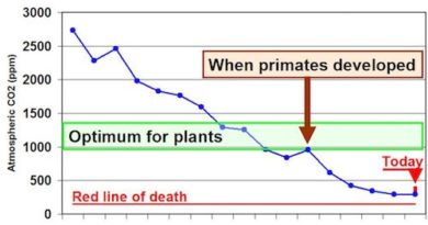 MORE CO2 PLEASE