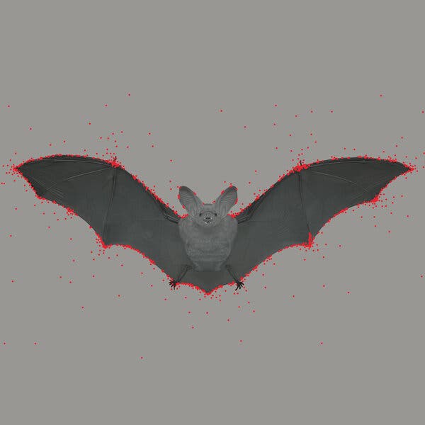 An illustration of a bat surrounded by red dots.