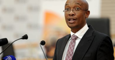 Legislation to manage coalitions 'nothing new', deputy minister tells 'conspiracy theorists' | News24