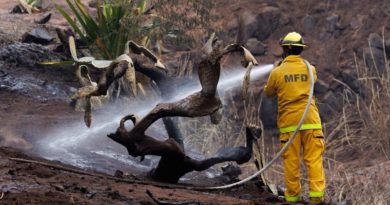 Maui conspiracy theories are spreading on social media. Why this always happens after a disaster | CNN Business