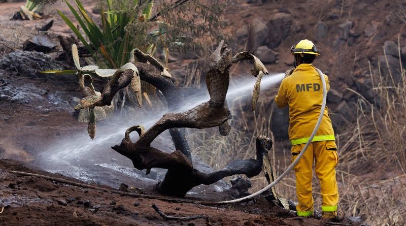 Maui conspiracy theories are spreading on social media. Why this always happens after a disaster | CNN Business