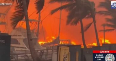 Maui wildfire becomes latest fodder for disaster conspiracy theorists