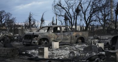 Trees and poles standing amid Maui fire wreckage aren’t unusual, contrary to conspiracy theories