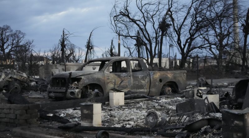 Trees and poles standing amid Maui fire wreckage aren’t unusual, contrary to conspiracy theories