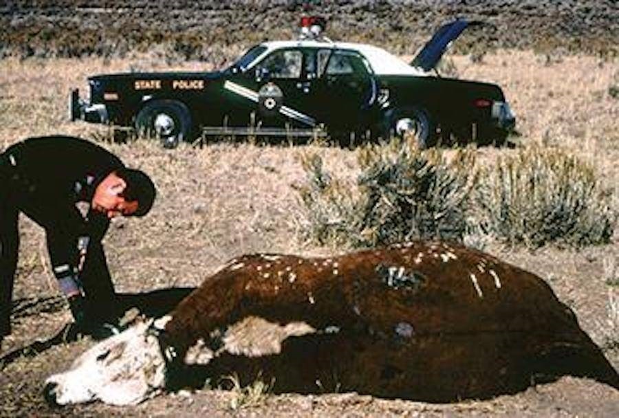 Alleged UFO sightings and cattle mutilation discoveries from state trooper Gabriel Valdez started rumors across the nation