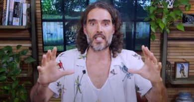 Inside Russell Brand’s conspiracy-fuelled fan army – and why it will never let him be cancelled