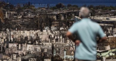 PolitiFact - What are 'smart cities' and why are conspiracy theorists linking them to wildfires?