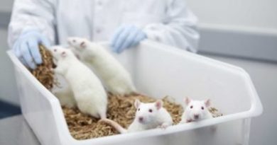 Ten Mice Used to Test the Newest Pfizer COVID Jab - Global Research