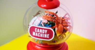 The Candied Bug Machine at HMNS Was Not Removed Because of an Anti-Semitic Flat Earth Conspiracy Theory