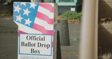 Despite claims of thousands, here's how many improper voter registrations Skagit County Elections has found