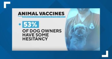 Dog owners hesitant to get their pets their vaccinations