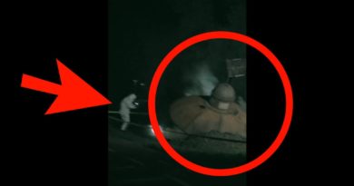 Outright Unbelievable Video Shows A UFO Crash That Looks Like It’s Straight Out Of A Bad Sci-Fi Movie