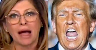 Maria Bartiromo Floats Wackadoodle COVID Theory That Has So Many Holes