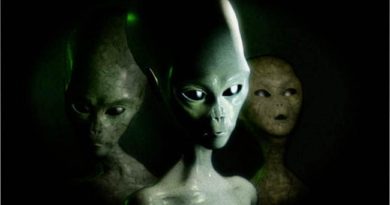 Mexico Congress Holds Second UFO Session: New Alien Species Revealed