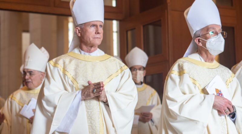 Pope Francis removes Bishop Strickland from Texas diocese - Detroit Catholic