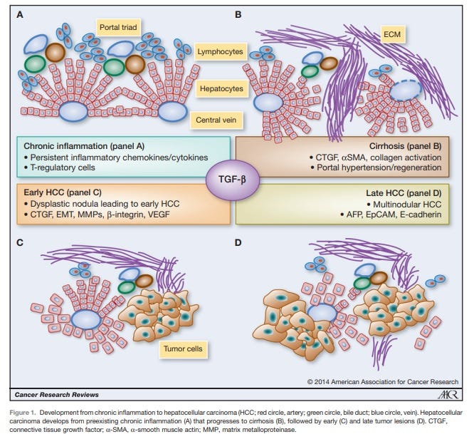 Ivermectin May Defeat Cancer and Other Common Chronic Diseases of Aging 