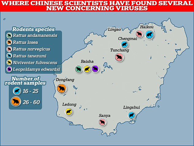 Eight novel viruses, including one belonging to the same family as Covid, were found in labs across China