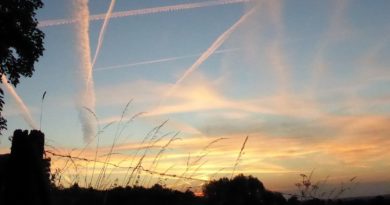 Photos show pilots with badges mocking ‘chemtrails’, not supporting the conspiracy theory - Full Fact