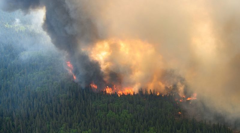 A climate conspiracy theorist said the government deliberately lit wildfires. He just pleaded guilty to starting 14 himself | CNN