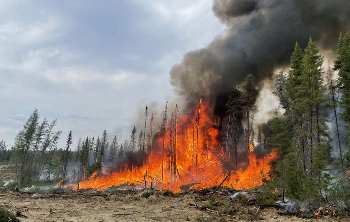 A conspiracy theorist who blamed the government for forest fires admitted that he started 14 himself