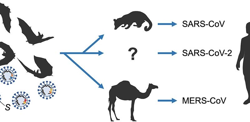 COVID-19 origins conspiracy theories: constructive alternatives