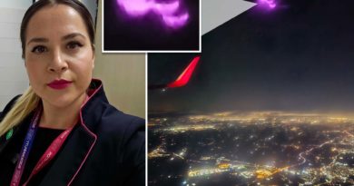 Hot pink ‘UFO’ whizzes past Poland-bound airplane, flight attendant video shows