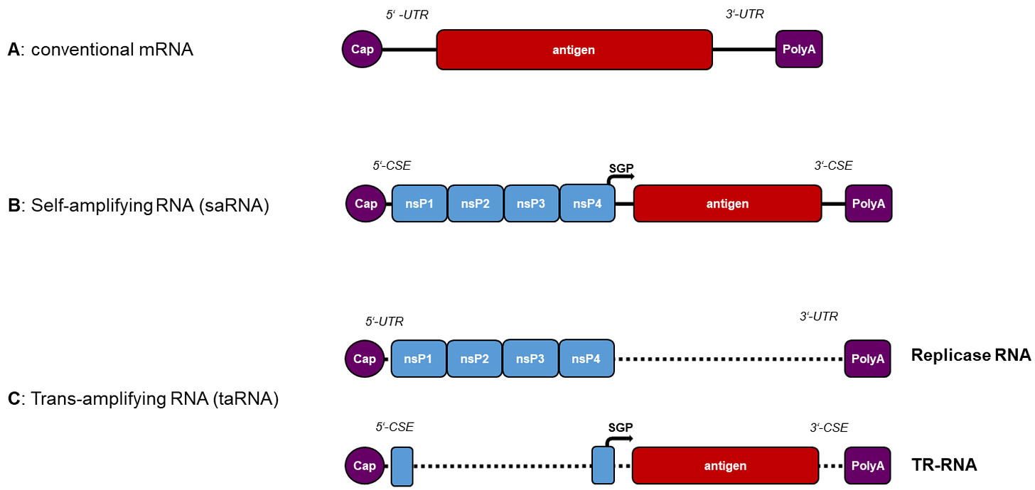 Pathogens 12 00138 g003