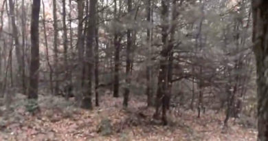 Inside disturbing 'Monsterland' woods where Big Foot & UFOs have been 'seen'