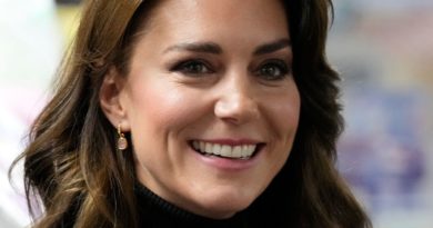 Kate Middleton coma conspiracy theory 'ludicrous,' Palace says