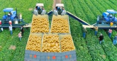 Polish Farmers Announce Strike Against "Green New Deal". The WEF Wants to Impose Synthetic GMO Laboratory Foods - Global Research