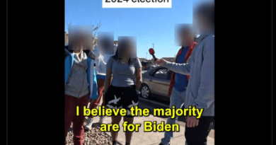 A boosted video resonates with ‘border crisis’ and ‘rigged election’ frames