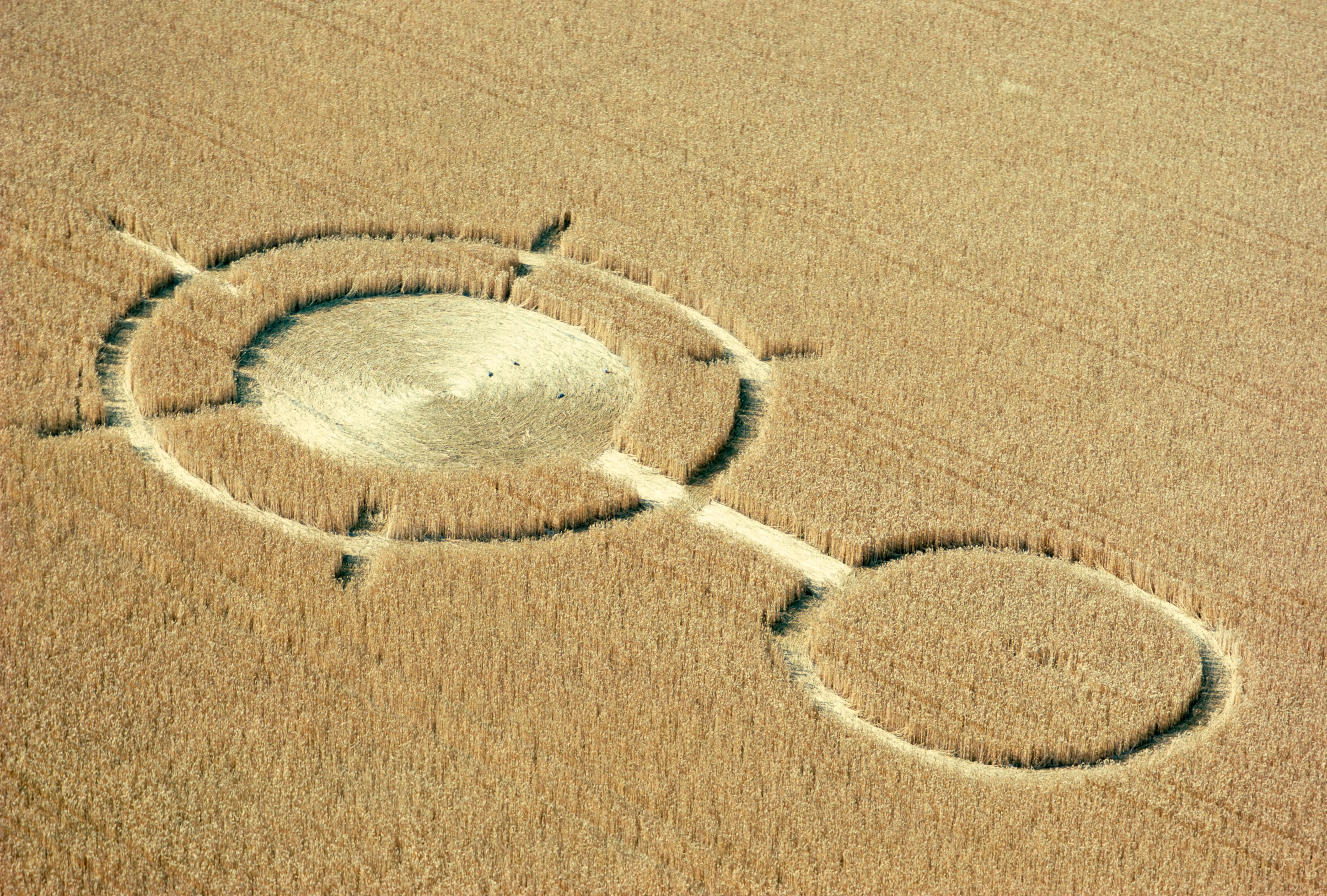 Aerial view of crop circles in a wheat field in Wiltshire, UK