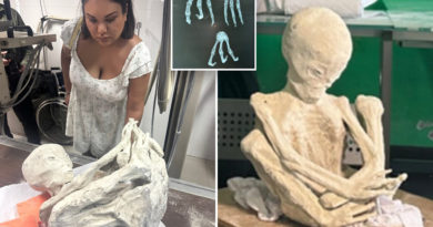 Bizarre three-fingered ‘alien mummies’ are real and contain unique DNA, filmmakers say