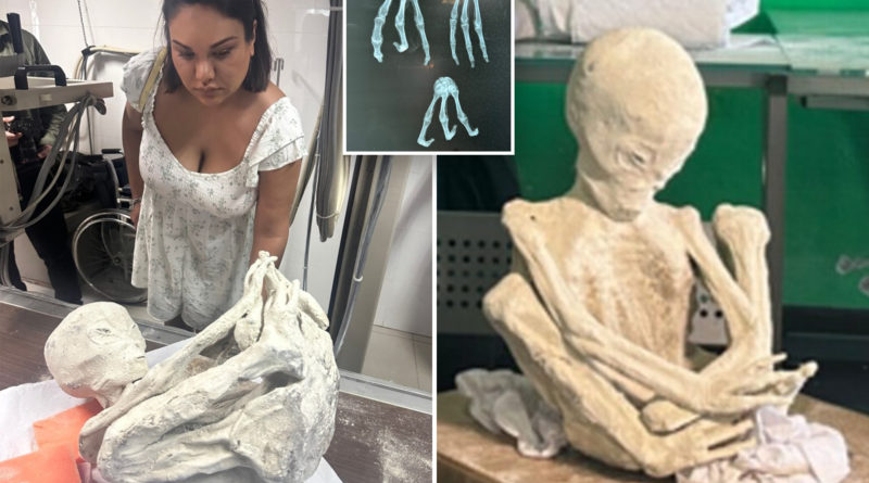 Bizarre three-fingered ‘alien mummies’ are real and contain unique DNA, filmmakers say