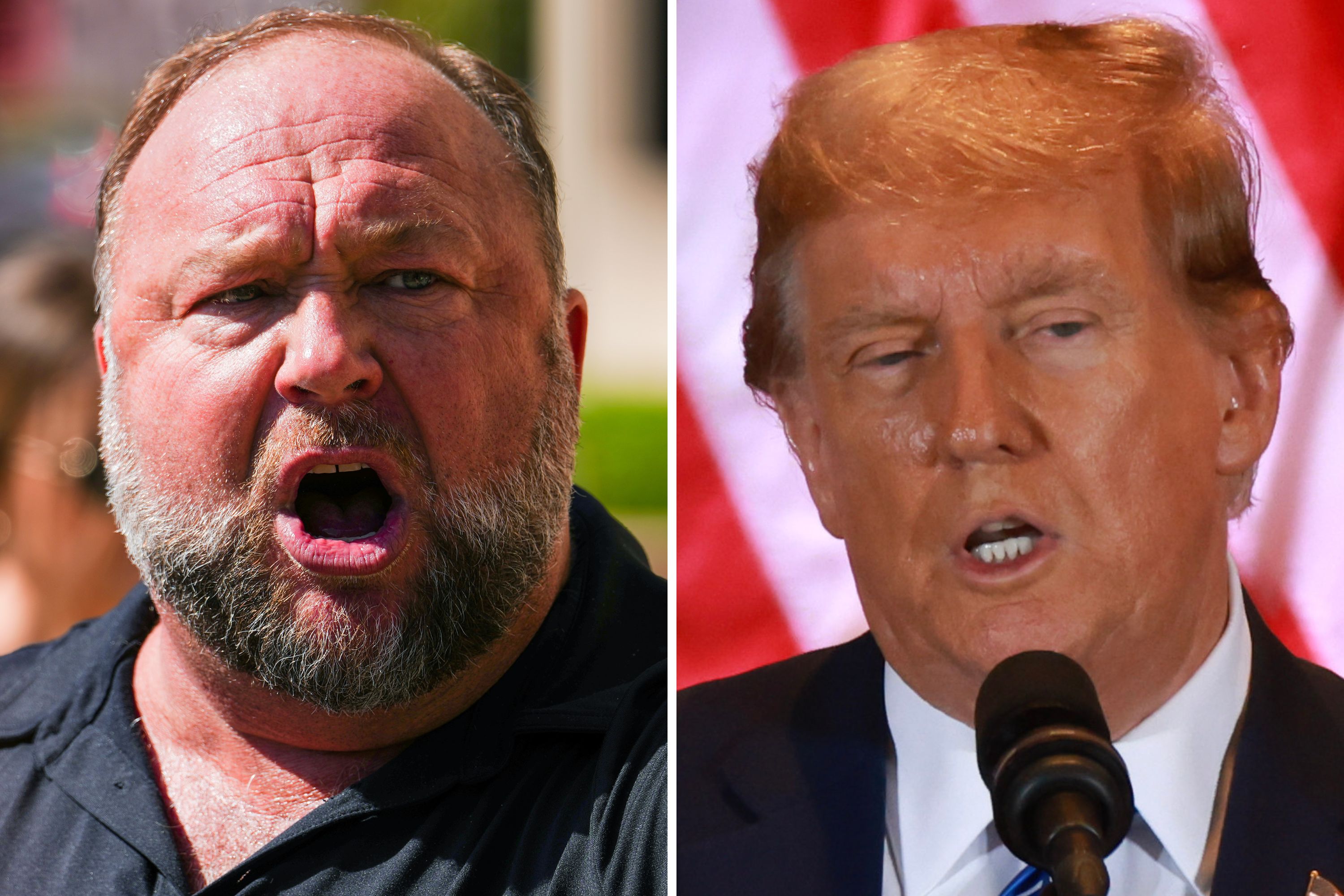 Alex Jones and Donald Trump