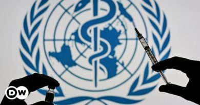 Fact check: Conspiracy theories about the 'pandemic treaty'