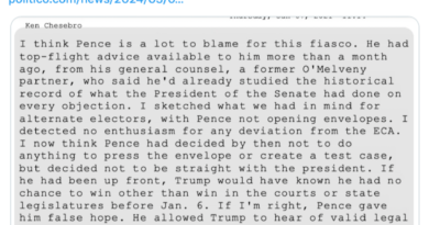 Trump Lawyer Had an Unhinged Solution for Overturning the Election